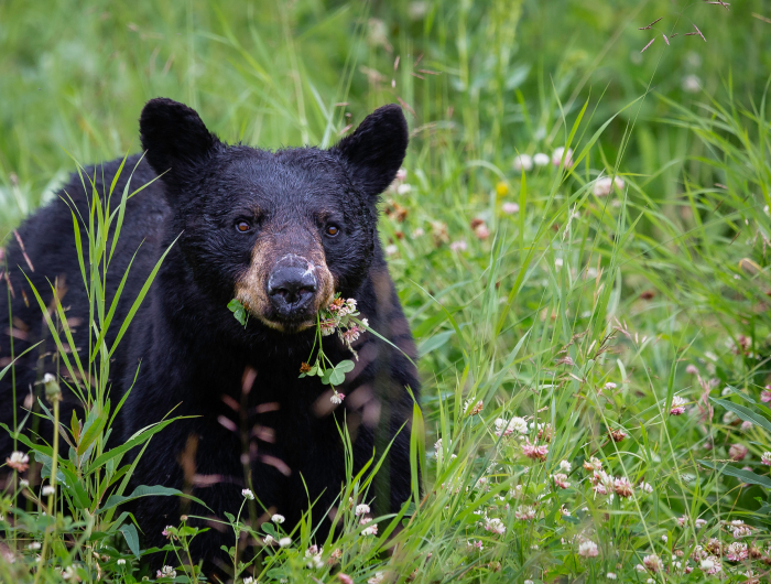 about values image (1)