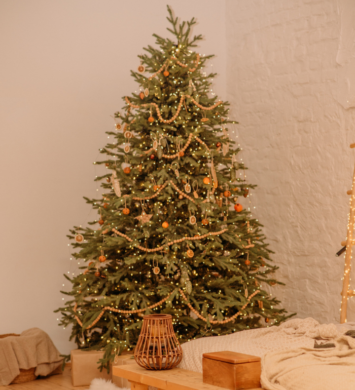 Christmas tree illustrating list of useful Christmas vocab