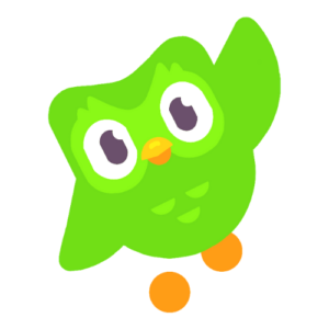 duolingo owl