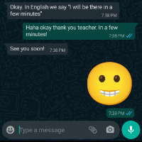 Contact Primavera English via Whatsapp